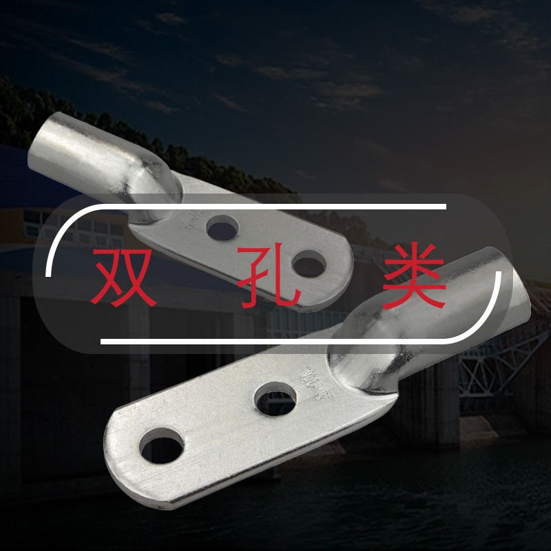 雙孔類(lèi)